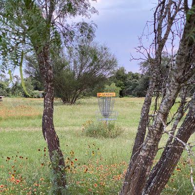 A disc golf basket standing in a wildflower meadow framed by mesquite trees at Live Oak Brewing